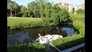 A Boater's Dream in Osprey FL