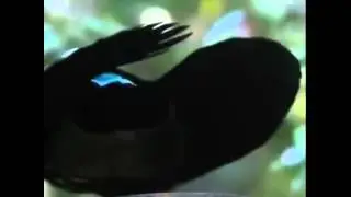 Bitch, look at my dab vine!