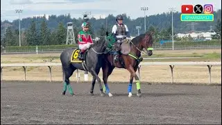 Star Washington Mare Aloha Breeze Seeks Title Defense in 2025 Emerald Distaff Stakes