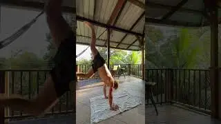 Major howler monkey tech