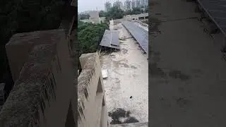 Solar Panel vs Tree 🌳⚡ | Reality of Rooftop Solar | Viral Shorts #shortsfeed #solarrepair #solar
