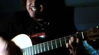 die söhne mannheims - das hat die welt noch nicht gesehn cover live acoustic guitar martin