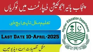 Punjab Higher Education department jobs 2025 | Apply Now!