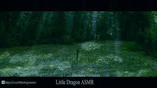 АСМР Чтение книги Новолуние часть 1| ASMR reading The Twilight Saga: New Moon | Little Dragon ASMR