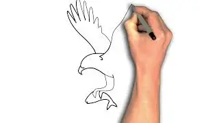 How to Draw an Eagle Catching a Fish &ndash; Single-Line Action Guide