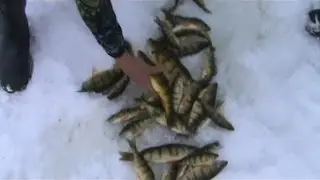 Peters Prime Time Ice Fishing Show Dec 19 Part 2