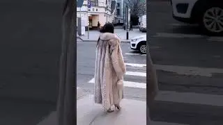 Vintage Fur Coat