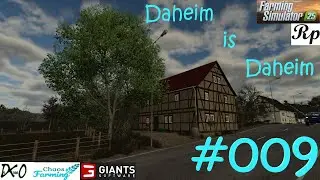 Daheim is Daheim #009 #endlich wieder Arbeiten