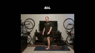 MI90 RDL
