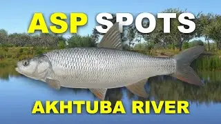 Russian Fishing 4 ASP SPOTS Akhtuba River