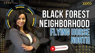 Black Forest Neighborhood - Flying Horse North 2023 Parade of Home