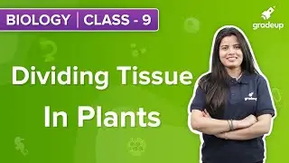 Dividing Tissues in Plants I  CBSE Class 9 | Biology | Abha Ma'am | NCERT | Gradeup
