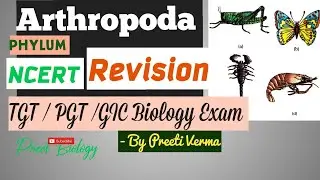 Arthropoda ll Phylum ll Tgt/Pgt/GIC Biology ll NCERT notes @PreetBiology