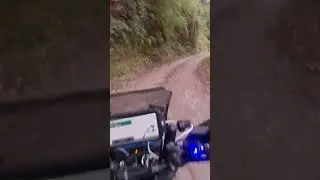 offroading with two beasts.#himalayan450 #dominar 400