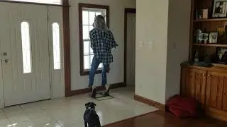 Black Pug (Chief) Barking at Halloween Warewolf