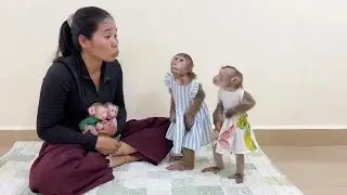 Mom Hug Twin Selena & Ronaldo Tightly To Negotiate With Spoil Linda & Chichi