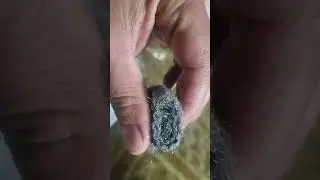 Harbor Frieght Extra Fine Steel Wool 0000