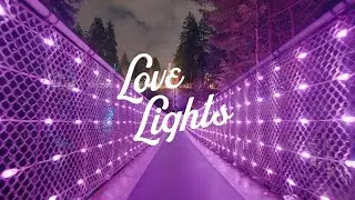 Love Lights at Capilano Suspension Bridge Park