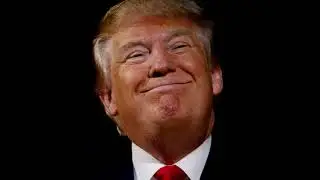 Trump, The Stable Genius