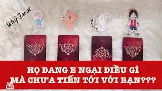 HỌ ĐANG SỢ ( E NGẠI ) ĐIỀU GÌ MÀ CHƯA TIẾN TỚI MỐI QUAN HỆ VỚI BẠN? #tarot #tarotreading