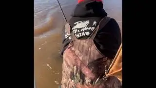 7 Fish Caught In An Hour In A Half During The Yadkin MasterCatters Tournament: 2/20/21