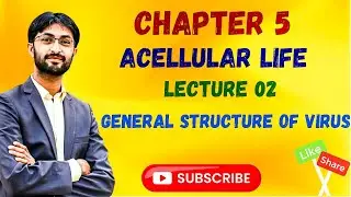General Structure of Viruses |Class 11| MDCAT