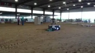 EXCA TX State Championship Pro Division Champion