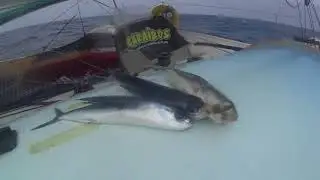 TJV 2017- La French Tech Rennes St Malo, Gilles Lamir&eacute; et Thierry Duprey du Vorsent