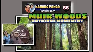 CINEMATIC VIEWS OF MUIR WOODS