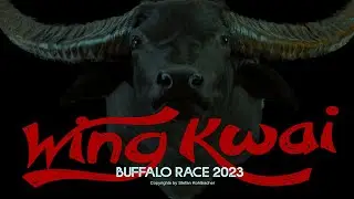 Wing Kwai Buffalo Race 2023  Chonburi HD 1080p