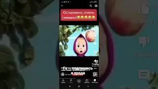 мюша и мядвудь