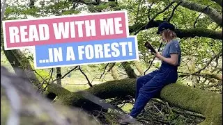 Read With Me 📖 | Summer Forest 🌳| Reading Room Ambience ASMR