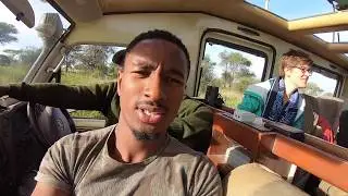Day 4, Ngorongoro/Serengeti, Nomad wildlife photography Internship
