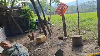⚪️ Qué le ha pasado a la tía mechita Vean este hermoso video😱😱