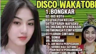 DISCO TERBARU AKHIR TAHUN DJ WAKATOBI VIRAL TIKTOK 