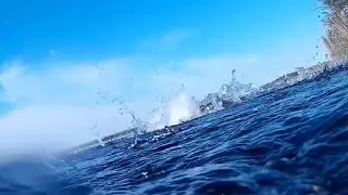 Отчаяный прыжок змееголова! Spearfishing, snakehead fish. Подводная охота в дельте реки Или