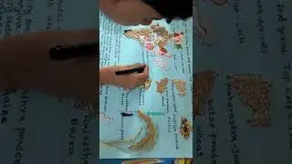 Crops grown in India (school project) #fun #activitiesforkids | link in the description