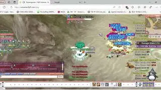 Flyff Universe - Elementor Lv 138 Hit And Run At Tigar Lv 142