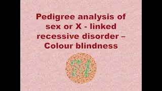 Pedigree chart l Inheritance of X-Linked recessive trait - Colour blindness - Tamil