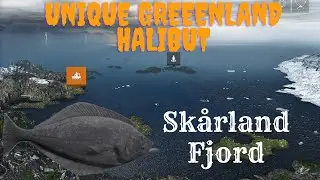 Unique Greenland Halibut | Sk&aring;rland Fjord | Fishing Planet