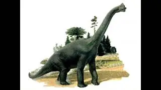 Dinosaur Encyclopedia - All Dinosaurs Descriptions