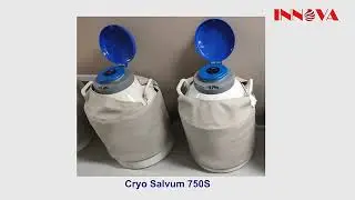 Innova Liquid Nitrogen Container