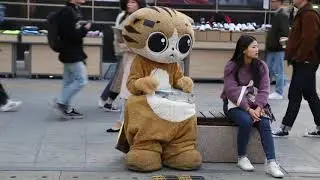 JHKTV]신촌 명물고양이똥폼 shin chon special cat hold one's head in one's mouth