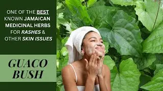 Get rid of RASHES & other SKIN ISSUES with GUACO BUSH (Mikania Micrantha) / Earth's Medicine