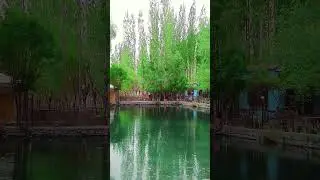 spantoq saling fish farm#viralvideo #shortvideo