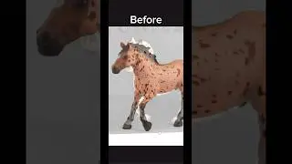 Transition Before VS After !💥#custom #modelhorse #schleich