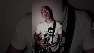 The Sky is Falling, the new single from The Orphans of Melville. Streamable everywhere.