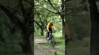 CRADIAC HUSTLER 21 SPEED  | Top Gear Cycles | Best MTBs in India