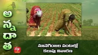 నూనెగింజల పంటల్లో కలుపు నివారణ | weed control in oilseed crops #groundnut #castor | ETV