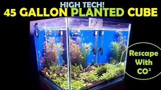 45 GALLON HIGH TECH CUBE | Planted Nano Fish Aquarium
